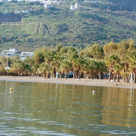 Bodrum Ortakent Denize Sifir Villa Villa