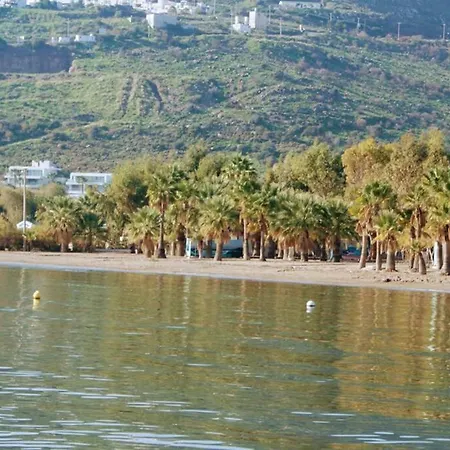 Bodrum Ortakent Denize Sifir Villa Villa